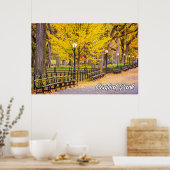 米国ニューヨーク，マンハッタン，セントラルパーク ポスター (キッチン)