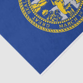 米国ネブラスカ州旗を持つ愛国的なティッシュペーパー 薄葉紙 (詳細)