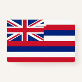 米国ハワイ州旗の付いたネーム州 バッジ (裏面)