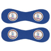 米国バージニア州旗を持つ愛国的なソフトボール ソフトボール (パネル)