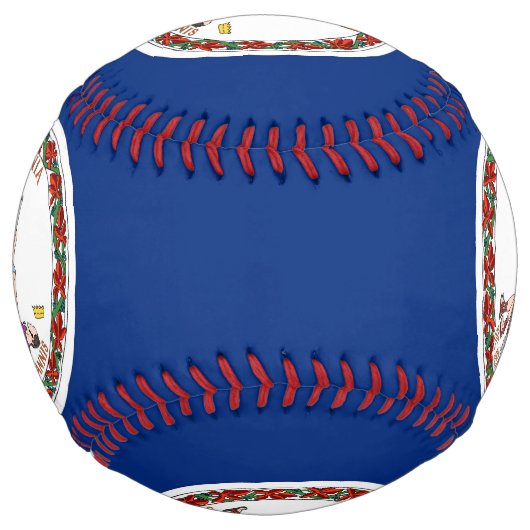 米国バージニア州旗を持つ愛国的なソフトボール ソフトボール (正面)