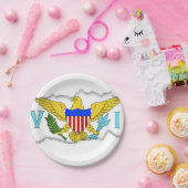 米国バージン諸島の旗 ペーパープレート (パーティー)