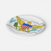 米国バージン諸島の旗 ペーパープレート (アングル)