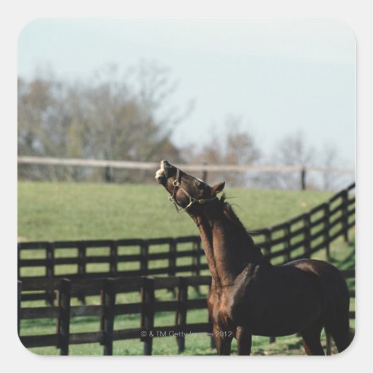 米国バーモント2 スクエアシール (正面)