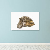 米国バーモント,ダルビル州,グラファイト キャンバスプリント (インサイチュ (ウッドフロア))