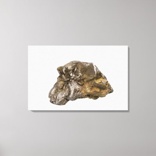 米国バーモント,ダルビル州,グラファイト キャンバスプリント (正面)