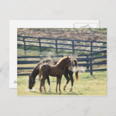 米国バーモント ポストカード (正面/裏面)