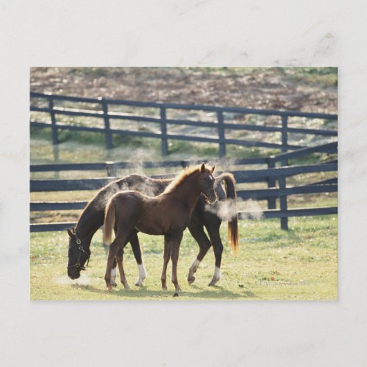 米国バーモント ポストカード (正面)