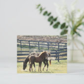 米国バーモント ポストカード (スタンド正面)