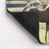 米国バーモント マウスパッド (コーナー)