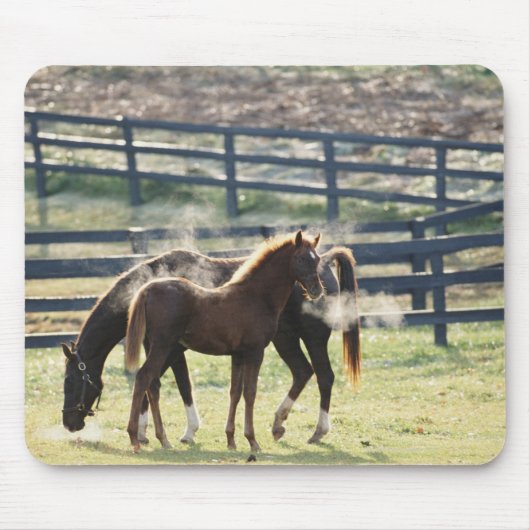 米国バーモント マウスパッド (正面)