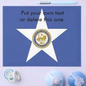 米国ヒューストン市旗を持つフライヤー チラシ (シングル)