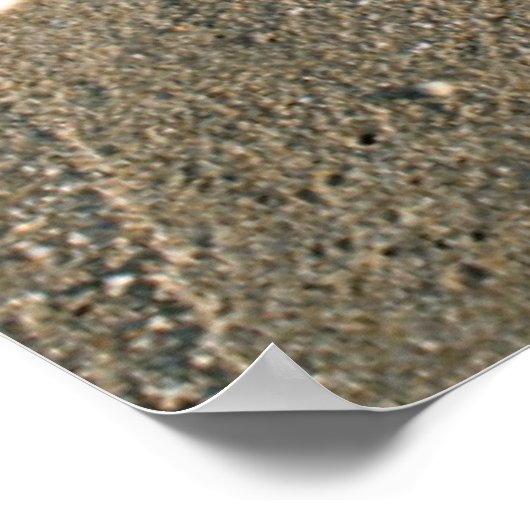 米国フロリダ州マイアミ。私はあなたを愛している ポスター (角)