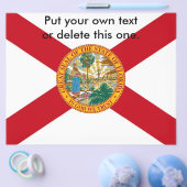 米国フロリダ州旗を持つフライヤー チラシ (シングル)