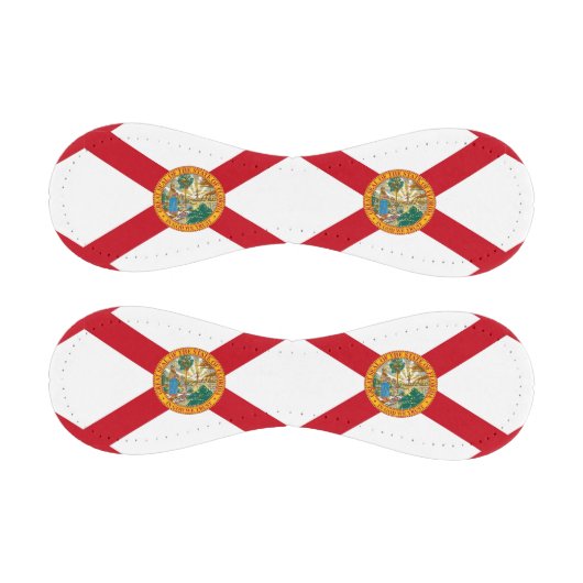 米国フロリダ州旗を持つ愛国野球 野球ボール (パネル)