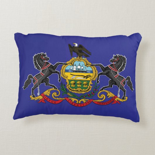 米国ペンシルバニア州国旗 アクセントクッション (裏面)