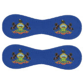 米国ペンシルバニア州旗を持つ愛国的ソフトボール ソフトボール (パネル)