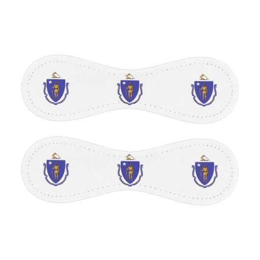 米国マサチューセッツ州旗を持つ愛国野球 野球ボール (パネル)