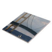 米国ミシガン州マッキナックブリッジ タイル (側面)