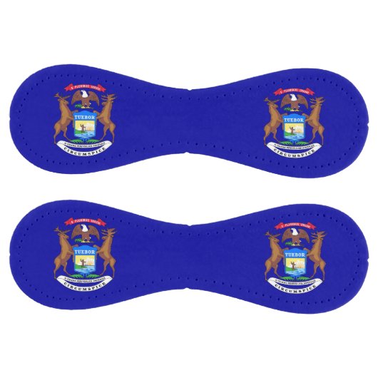 米国ミシガン州旗を持つ愛国的ソフトボール ソフトボール (パネル)