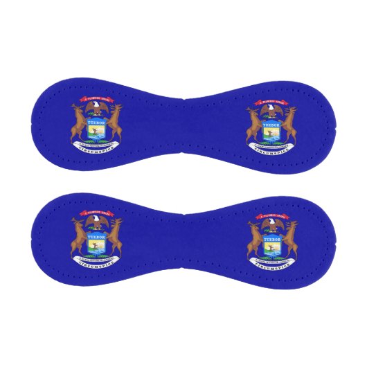 米国ミシガン州旗を持つ愛国野球 野球ボール (パネル)