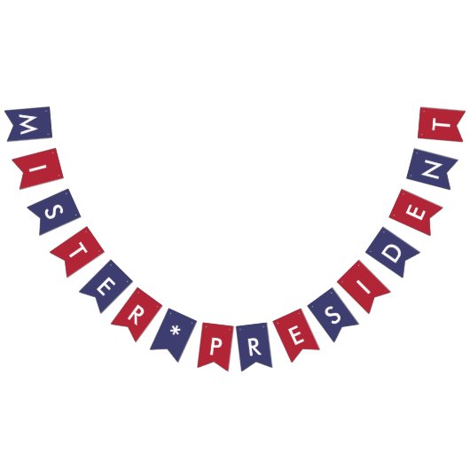 米国ミスタータイポグラフィ米州旗 バンティングフラッグ (全)