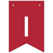 米国ミスタータイポグラフィ米州旗 バンティングフラッグ (第2の旗)