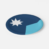 米国ミネソタ州旗を持つ愛国的紙プレート ペーパープレート (アングル)