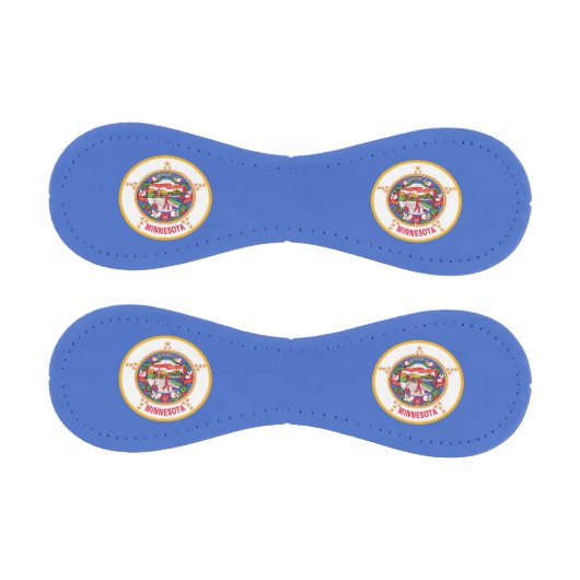 米国ミネソタ州旗を持つ愛国野球 野球ボール (パネル)