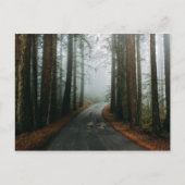 米国ミルバレーのミュアウッズ国定記念碑 ポストカード (正面)