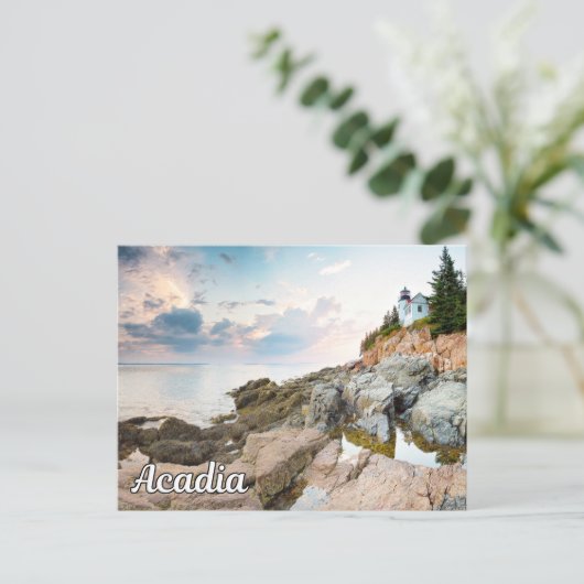 米国メイン州アカディア国立公園 シーズンポストカード (スタンド正面)