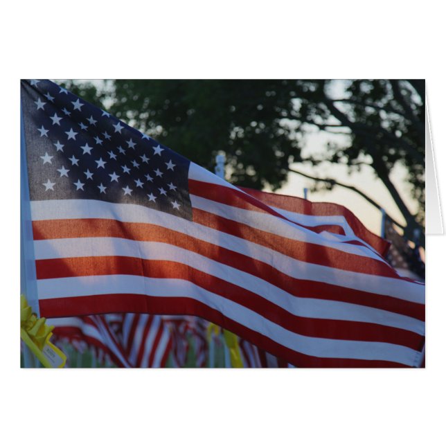 米国メモリアルデー国旗が風になびく (正面横)