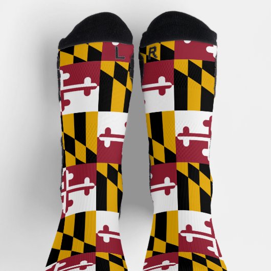 米国メリーランド州旗を持つアスレティッククルー靴下 ソックス (上部)