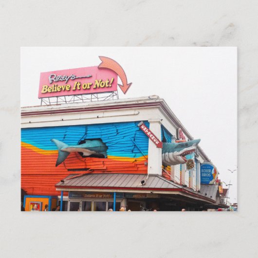 米国メリーランド州海市のサメ シーズンポストカード (正面)
