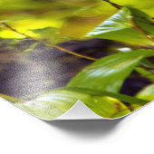 米国モンタナ州ホワイトフィッシュで子鹿が見える フォトプリント            (角)