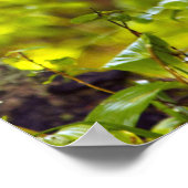 米国モンタナ州ホワイトフィッシュで子鹿が見える ポスター (角)