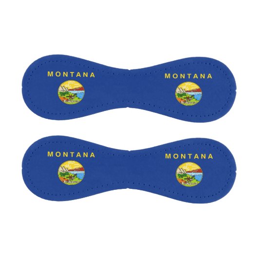 米国モンタナ州旗を持つ愛国野球 野球ボール (パネル)