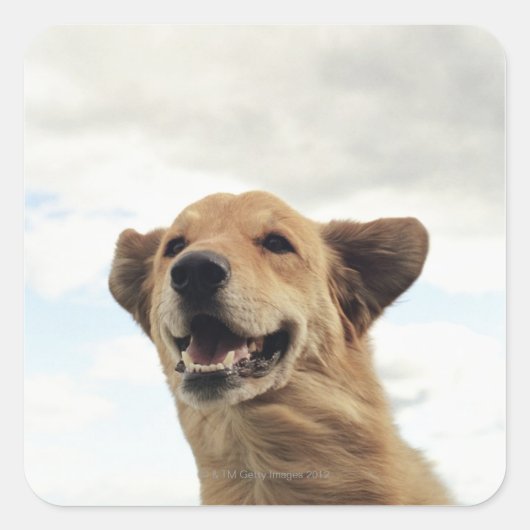 米国モンタナ スクエアシール (正面)