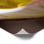 米国ユタ州キャピトルリーフ国立公園2 ポスター (角)