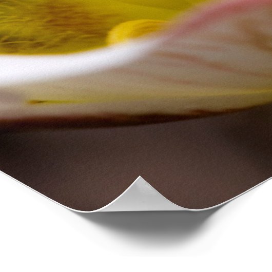 米国ユタ州キャピトルリーフ国立公園2 ポスター (角)