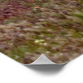 米国ユタ州。ティンパノゴス山が上に昇る ポスター (角)