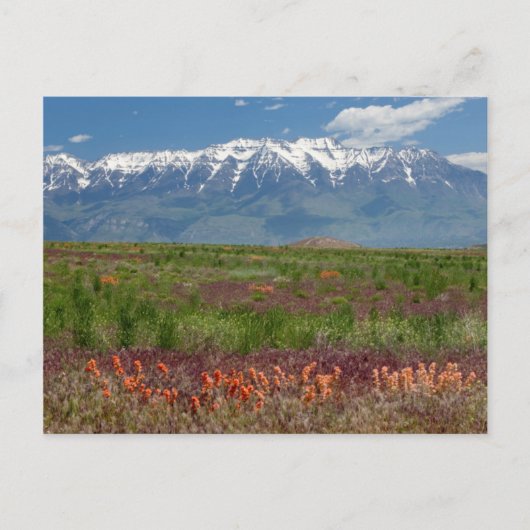 米国ユタ州。ティンパノゴス山が上に昇る ポストカード (正面)