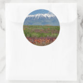 米国ユタ州。ティンパノゴス山が上に昇る ラウンドシール (バッグ)