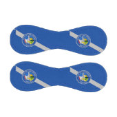 米国ラスベガス国旗を掲げた愛国野球 野球ボール (パネル)