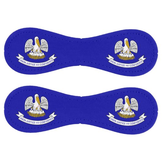 米国ルイジアナ州旗を持つ愛国的なソフトボール ソフトボール (パネル)