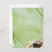 米国ワシントン ポストカード (正面/裏面)