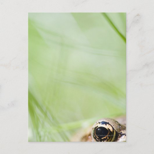 米国ワシントン ポストカード (正面)