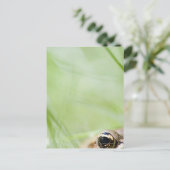 米国ワシントン ポストカード (スタンド正面)