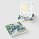 米国ワシントンDCエステメドフリーン ストーンコースター (横)