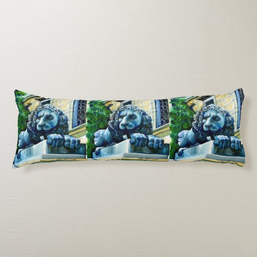 米国ワシントンDCエステメドフリーン ボディピロー (正面)